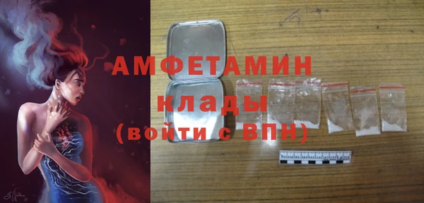 крисы Горняк