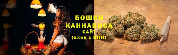 крисы Горняк