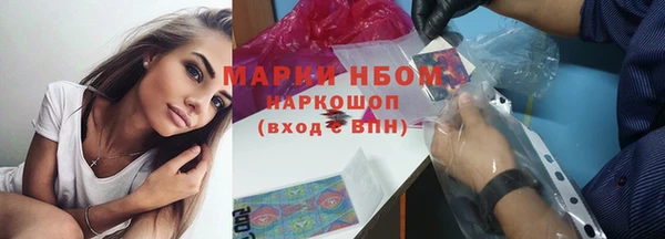 крисы Горняк