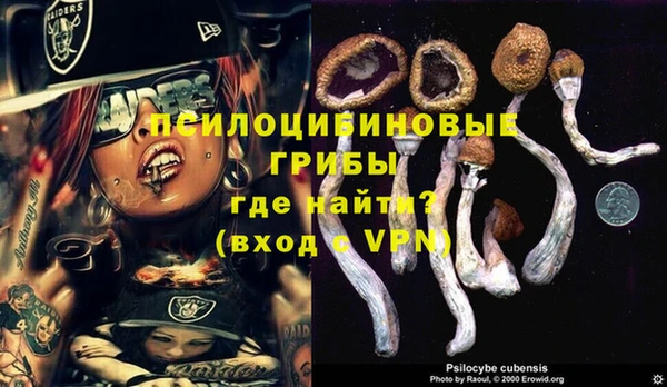 jwh Горнозаводск