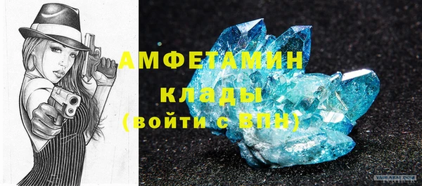 крисы Горняк