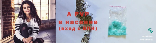 крисы Горняк