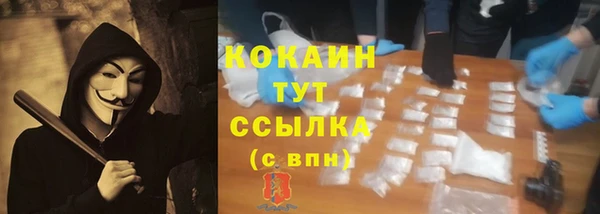 крисы Горняк