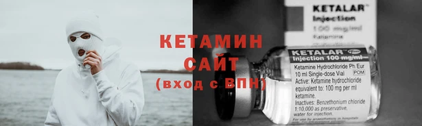 крисы Горняк
