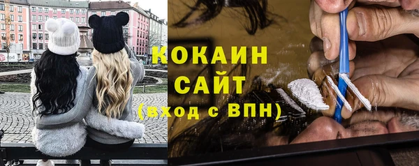 крисы Горняк