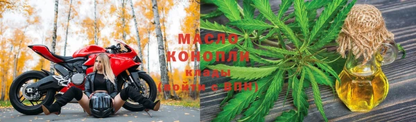 крисы Горняк