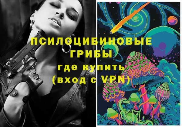 винт Горно-Алтайск