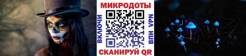 Галлюциногенные грибы Cubensis  Купить где  Избербаш 